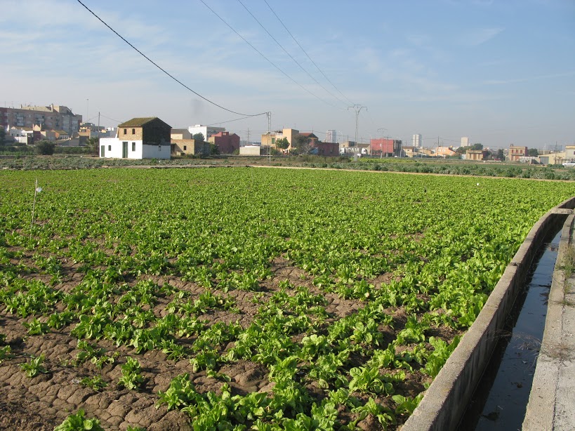 horta