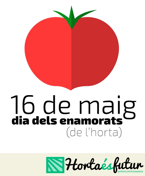 16maig_diadelsenamorats-1
