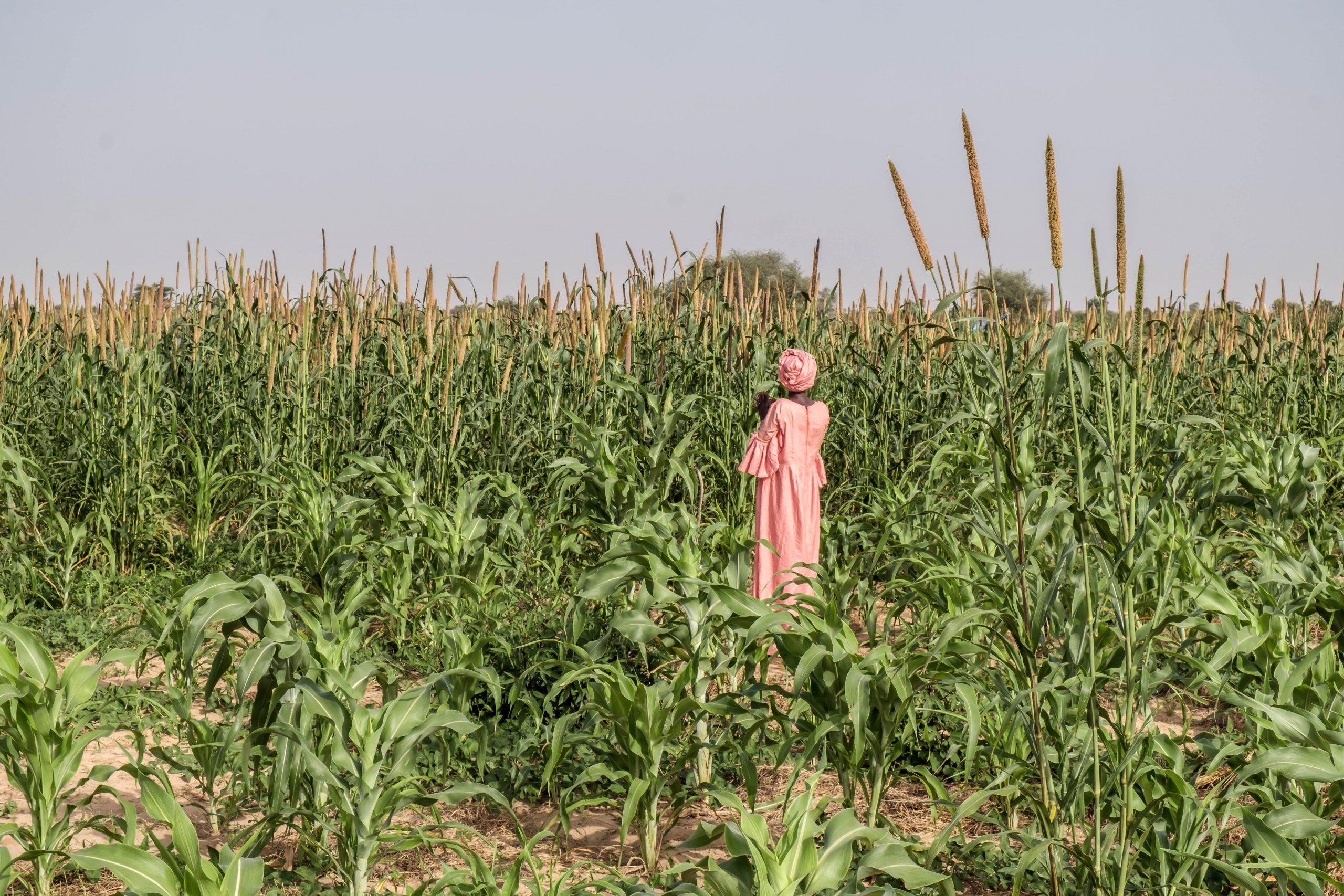 Finca en Mauritania