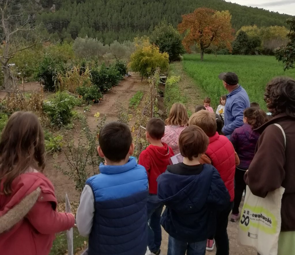 La Sostenibilitat al Plat VII