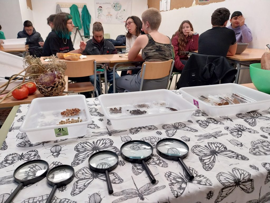 Iniciamos la cuarta fase de Una Llavor a l’Escola